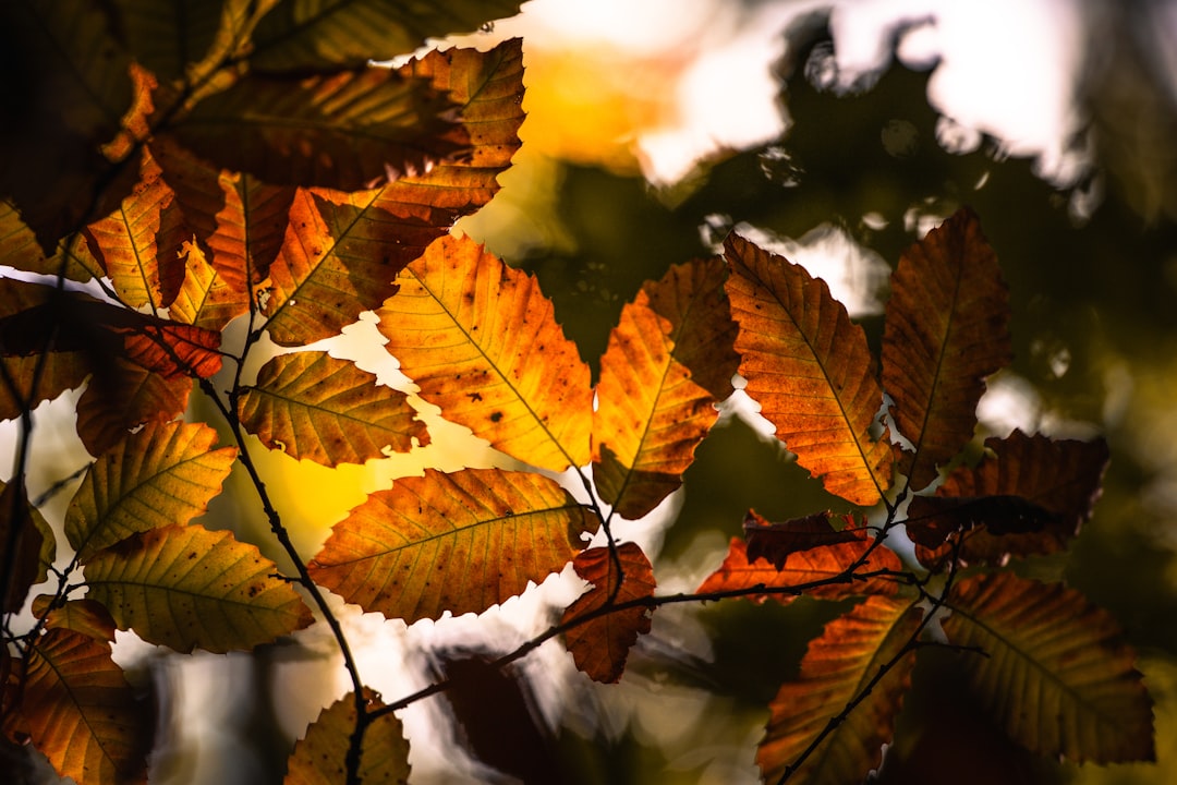 Professional makeup studio